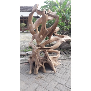 Teak Root Stand