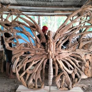 teak root butterfly