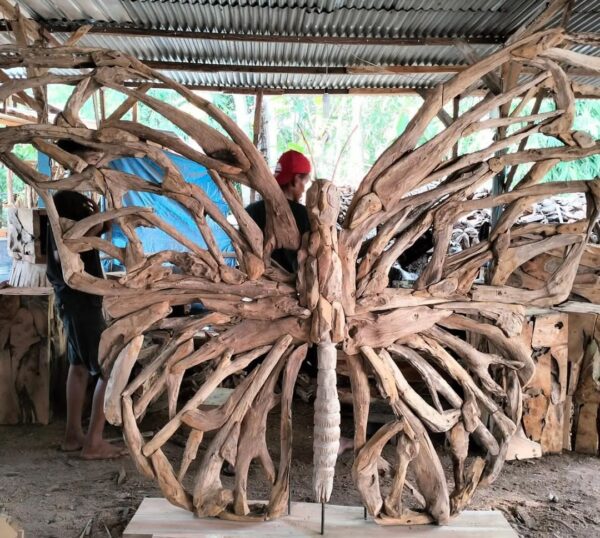 teak root butterfly