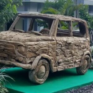 teak root car